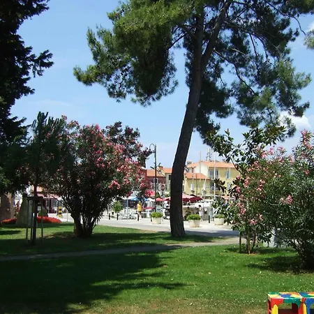 In Novigrad/istrien 9505 Apartment Karpinjan